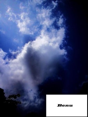 cover image of Benu